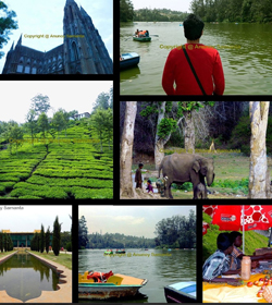 Bangalore Mysore Ooty Kodaikanal